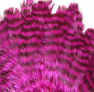 ������� ���� Hen feathers ������ ���� ������� �������
